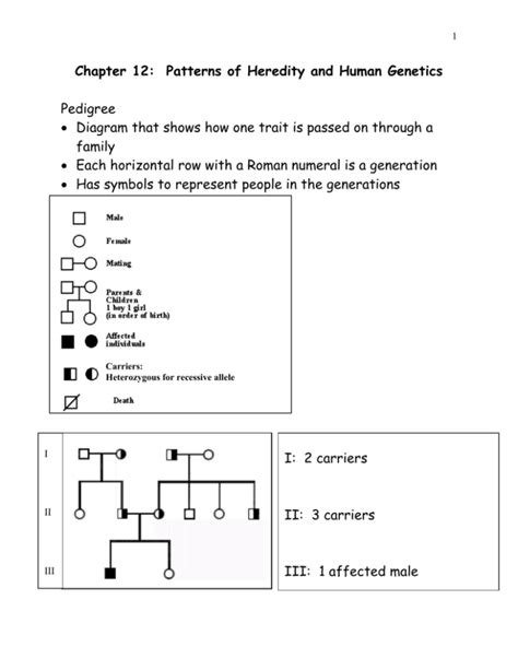 Chapter 12 Patterns Of Heredity And Human Genetics Answer Key PDF