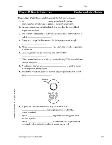 Chapter 13 Genetic Engineering Answer Key 1 PDF