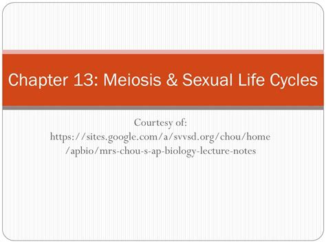 Chapter 13 Meiosis Sexual Life Cycles Ap Bio Answers Reader