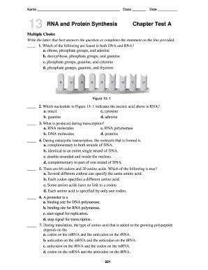 Chapter 13 Rna And Protein Synthesis Answers Kindle Editon