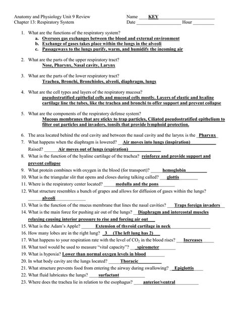 Chapter 13 The Respiratory System Anatomy Physiology Answer Key Kindle Editon