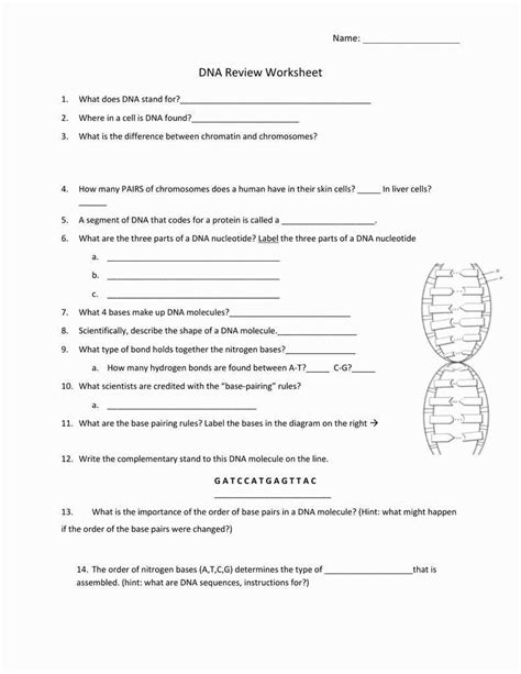 Chapter 14 3 Human Genome Answer Key PDF