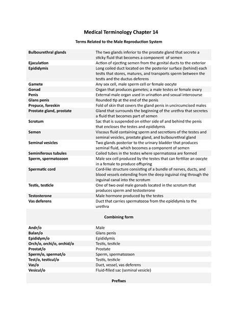 Chapter 14 Medical Terminology Answers PDF