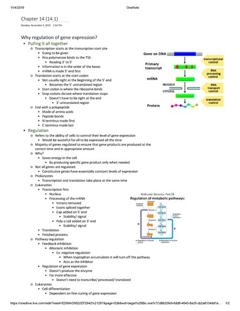 Chapter 14 Section 1 Biology Work Answers Epub