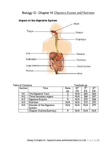 Chapter 14 The Digestive System Answers Reader