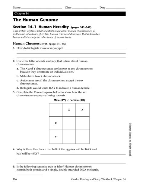 Chapter 14 The Human Genome Section 1 Traits Answer Key Reader