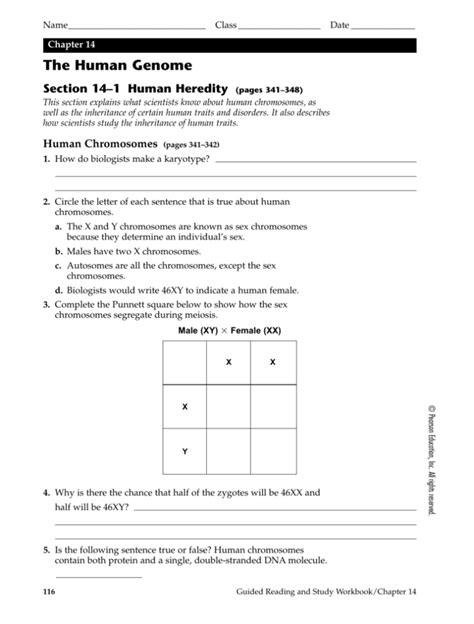 Chapter 14 The Human Genome Section 2 Answer Key Doc