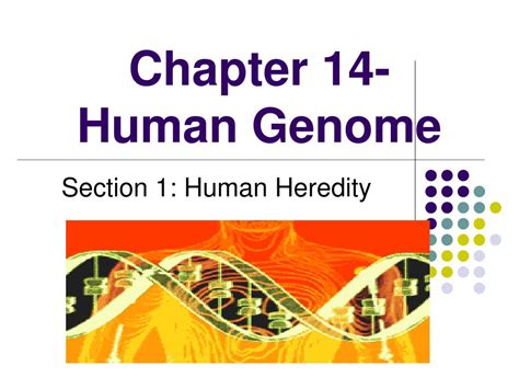 Chapter 14 The Human Genome Section Review 3 Answers Kindle Editon