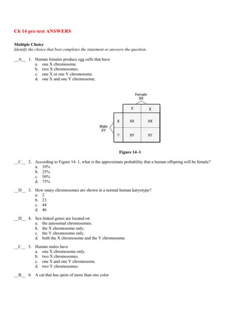 Chapter 14 The Human Genome Test A Answers Reader