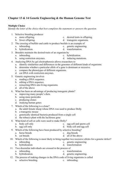 Chapter 14 The Human Genome Test B Answers Doc