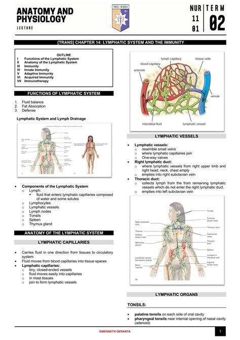 Chapter 14 The Lymphatic System And Immunity Answer Key Epub