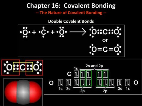 Chapter 16 Covalent Bonding Answer Key PDF