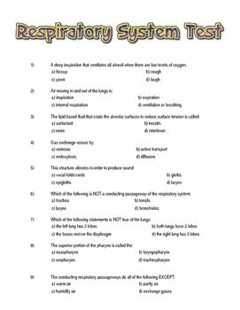 Chapter 16 The Respiratory System Study Guide Answers Reader