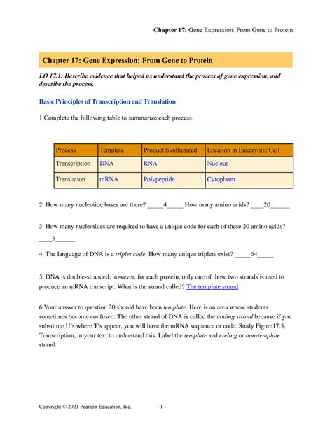 Chapter 17 From Gene To Protein Answers Doc