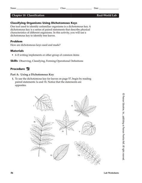 Chapter 18 Lab Dichotomous Keys Answers Doc