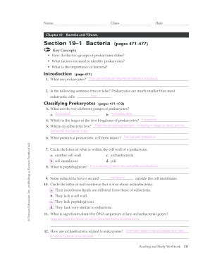 Chapter 19 Bacteria And Viruses Section Review Answer Key Doc