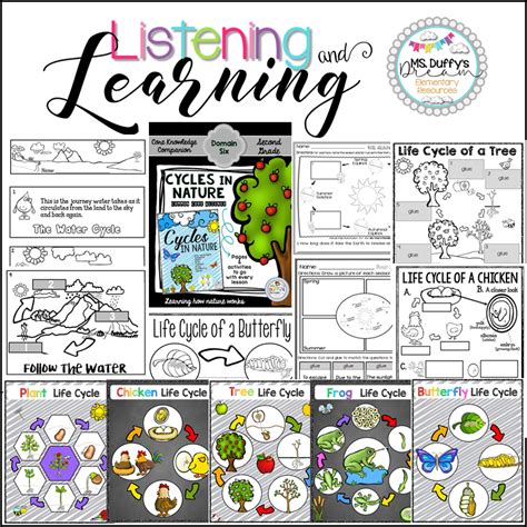 Chapter 2 Directed Reading Worksheet: Cycles in Nature