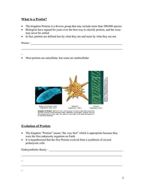 Chapter 20 Protists Answer Key Doc