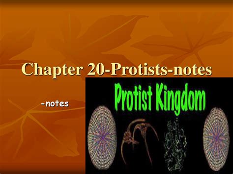 Chapter 20 Protists Answers Reader