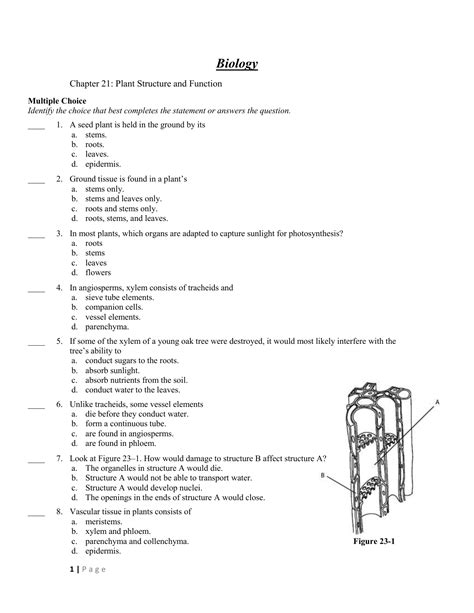 Chapter 21 What Is A Plant Answer Key PDF