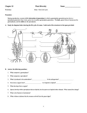 Chapter 22 Plant Diversity Work Answer Key Epub