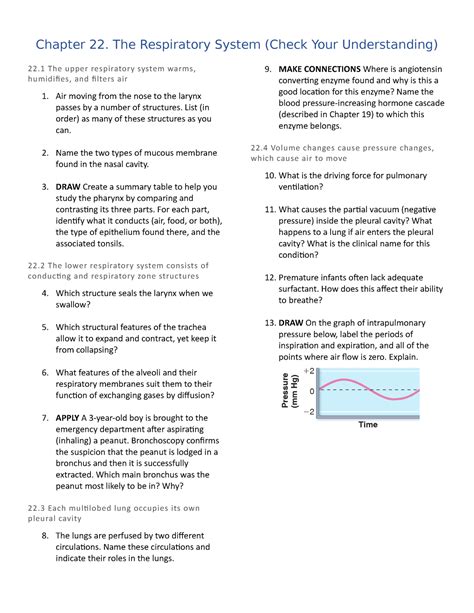 Chapter 22 Respiratory System Answers Doc