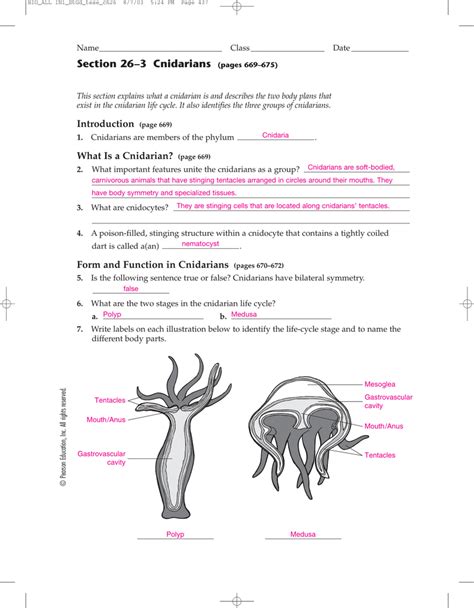 Chapter 26 Sponges Cnidarians Review Answer Key PDF