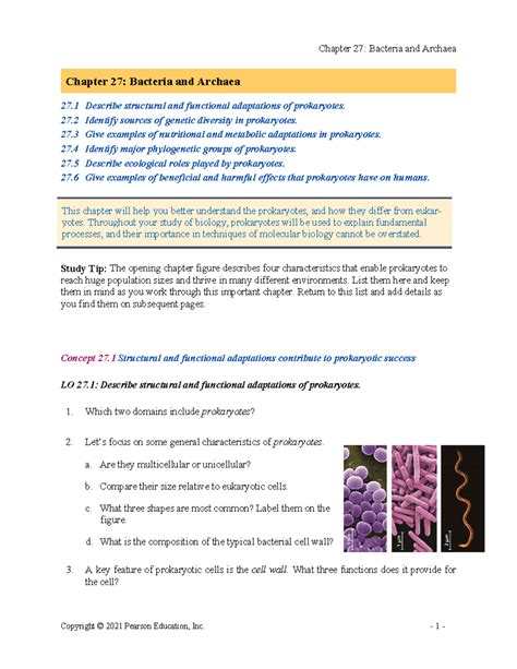 Chapter 27 Ap Bio Reading Guide Answers Quizlet Reader