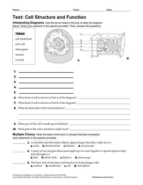 Chapter 3 Cell Structure Function Vocabulary Practice Answers PDF