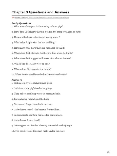 Chapter 3 Questions And Answers PDF