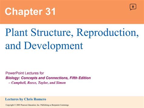 Chapter 31 Plant Structure And Development Test Bank pdf Epub