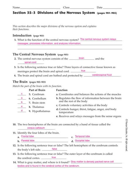 Chapter 35 Divisions Of The Nervous System Answer Key Reader