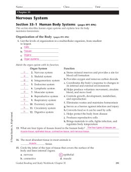 Chapter 35 Nervous System, SE Ebook Epub