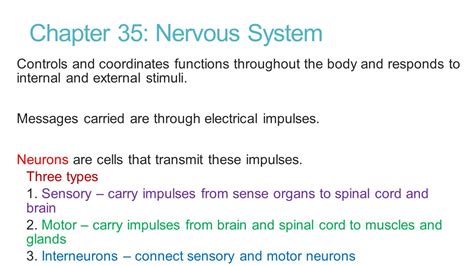 Chapter 35 Nervous System, SE Ebook Epub