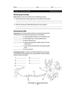 Chapter 35 Nervous System Section Review 1 Answer Key Reader