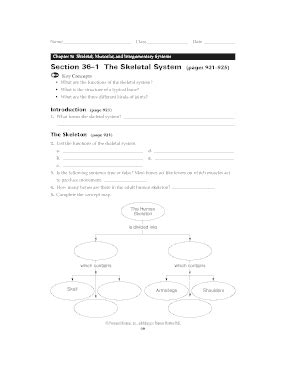 Chapter 36 1 The Skeletal System Answers Doc