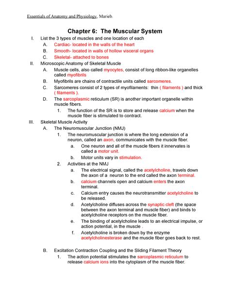 Chapter 36 Biology The Muscular System Answers Epub