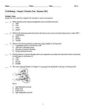 Chapter 4 Biology Test Answers Doc