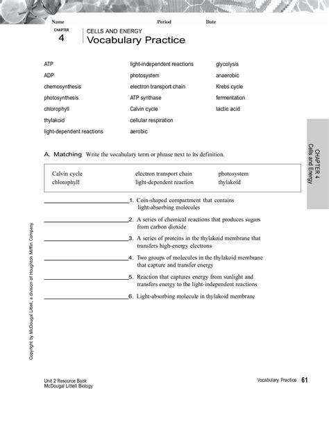 Chapter 4 Cells And Energy Vocabulary Practice Answer Key Epub