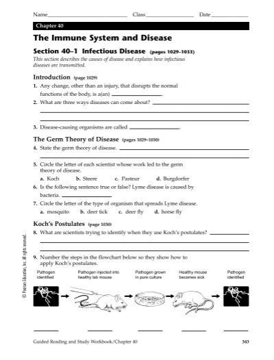 Chapter 40 The Immune System Disease Work Answers Doc