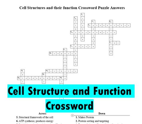 Chapter 5 Cell Structure Function Crossword Answer Key Reader