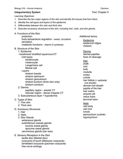 Chapter 5 Skeletal System Test Answer Key PDF