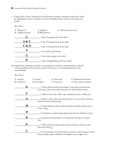 Chapter 5 The Skeletal System Answers For Worksheet Reader