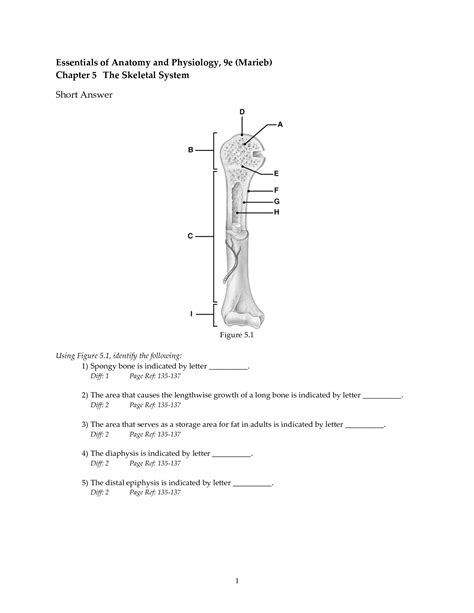 Chapter 5 The Skeletal System Packet Answers PDF