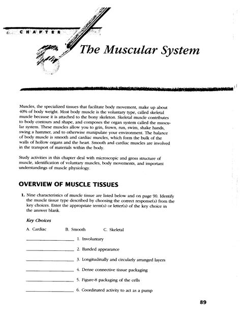 Chapter 6 The Muscular System Answer Key Doc