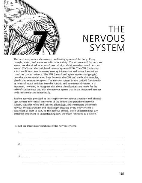 Chapter 7 Peripheral Nervous System Packet Answers Doc