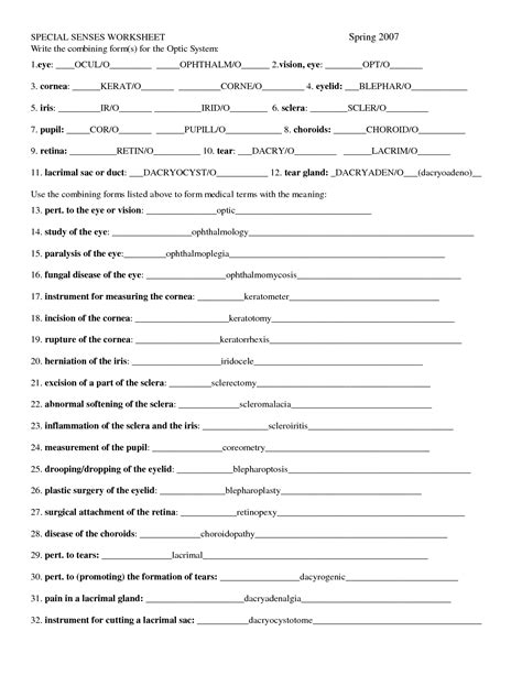 Chapter 8 Special Senses Worksheet Answers Reader