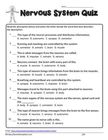 Chapter 8 The Nervous System Packet Answers PDF