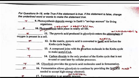 Chapter 9 Cellular Respiration Answer Key Doc