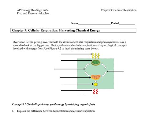 Chapter 9 Cellular Respiration Harvesting Chemical Energy Answer Key Doc